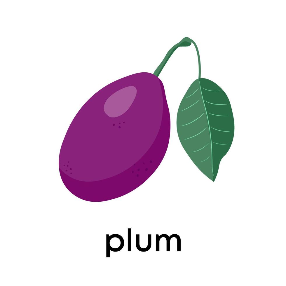 A big beautiful plum. Vector flat illustration, cartoon style.