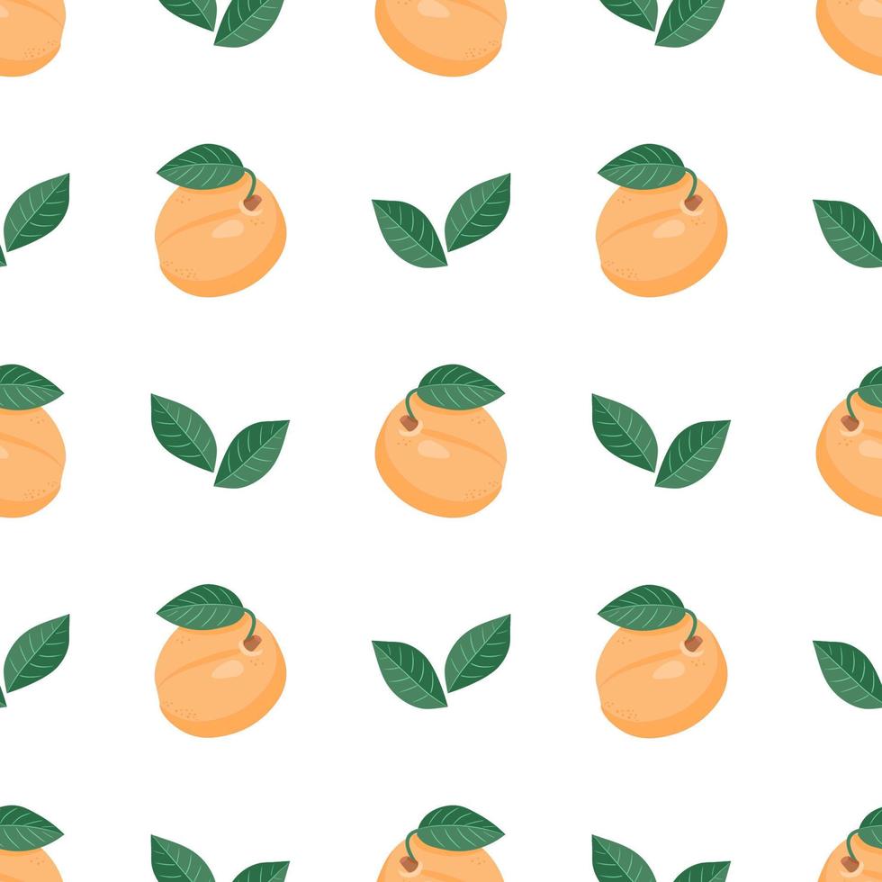 Seamless pattern with apricots and leaves. Modern apricot pattern. vector