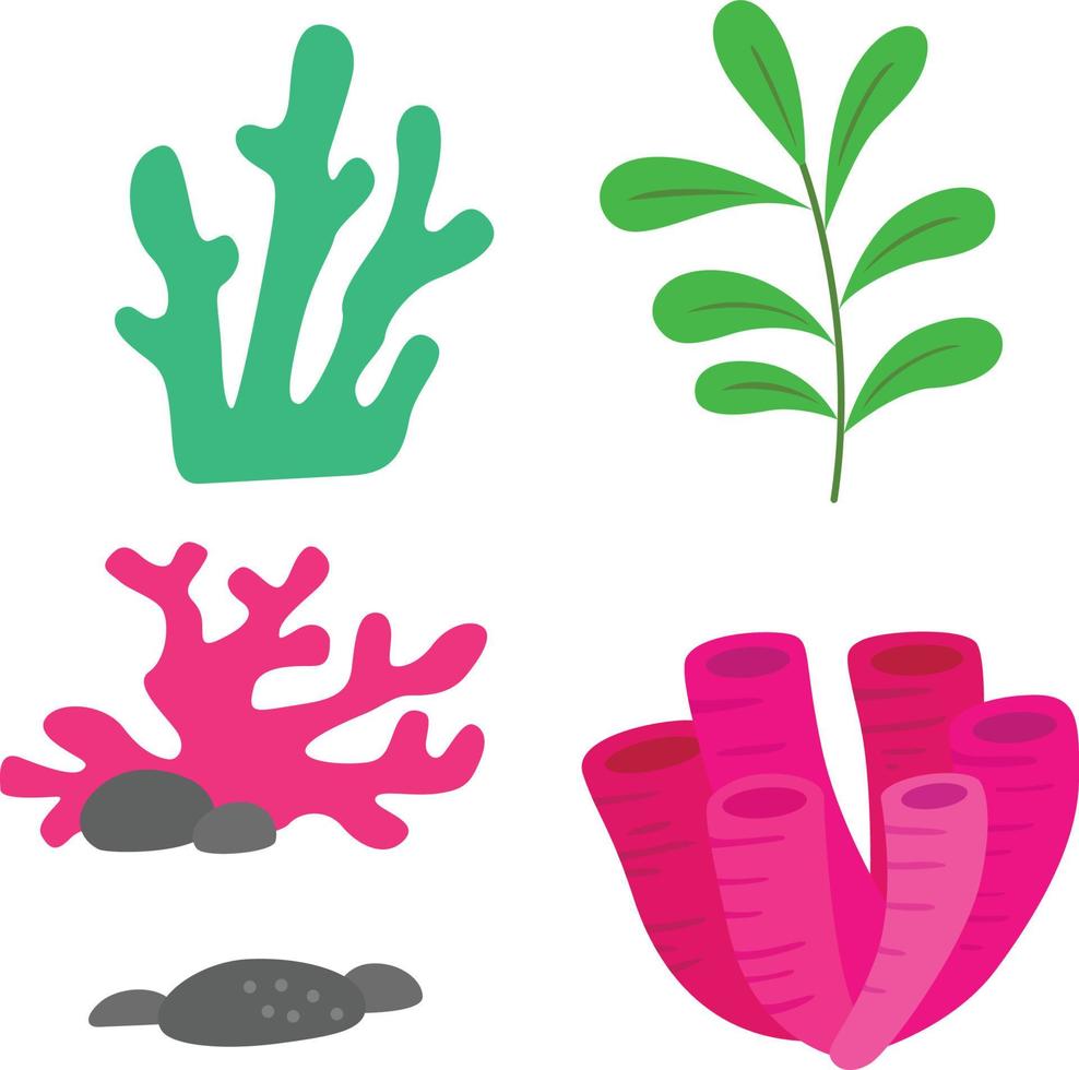 Beautiful coral reef underwater vector