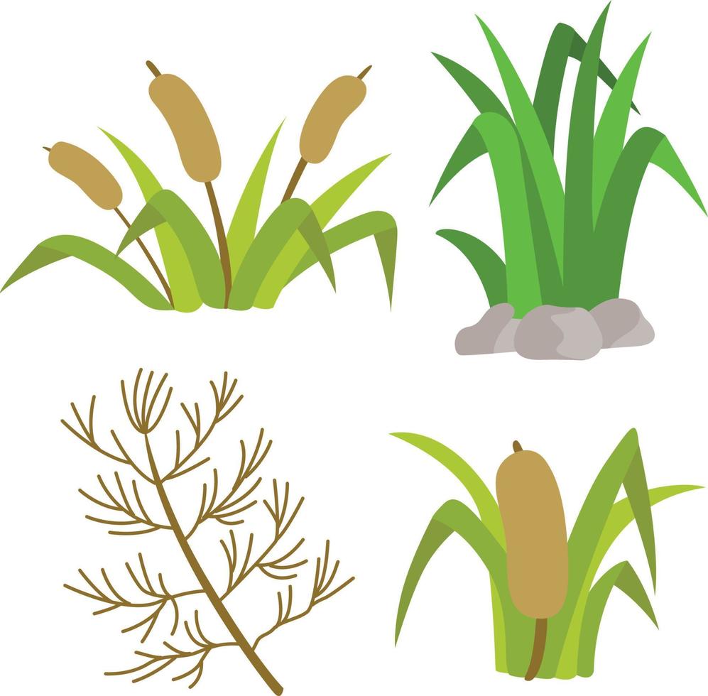 Set of weeds and grass vector