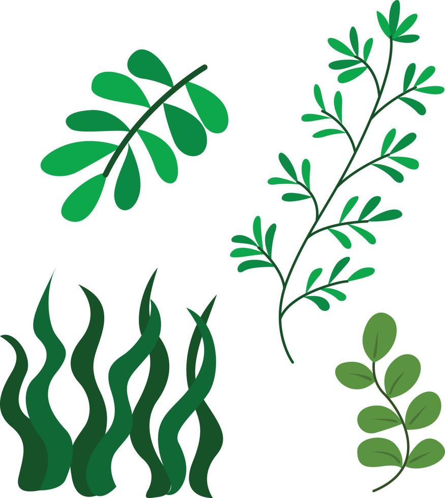 Seaweed and underwater stuff vector