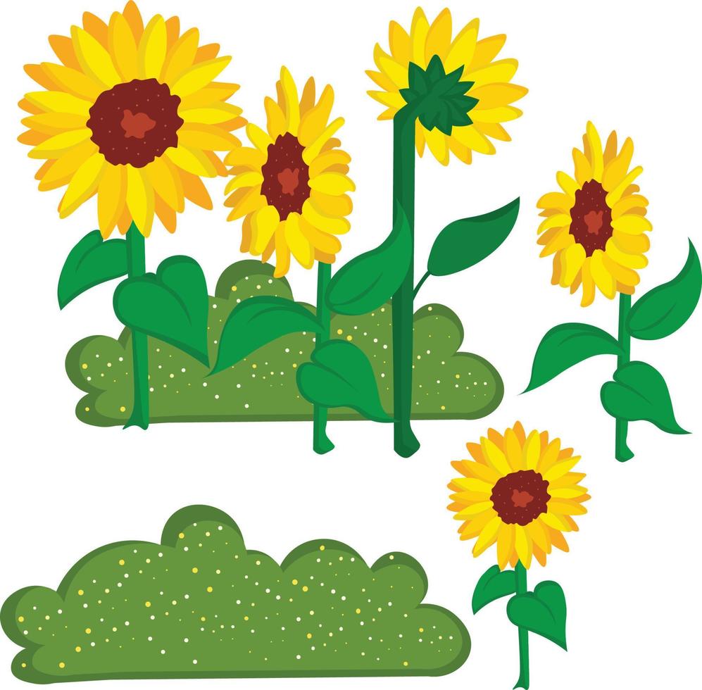 A garden with bushes and sunflower vector