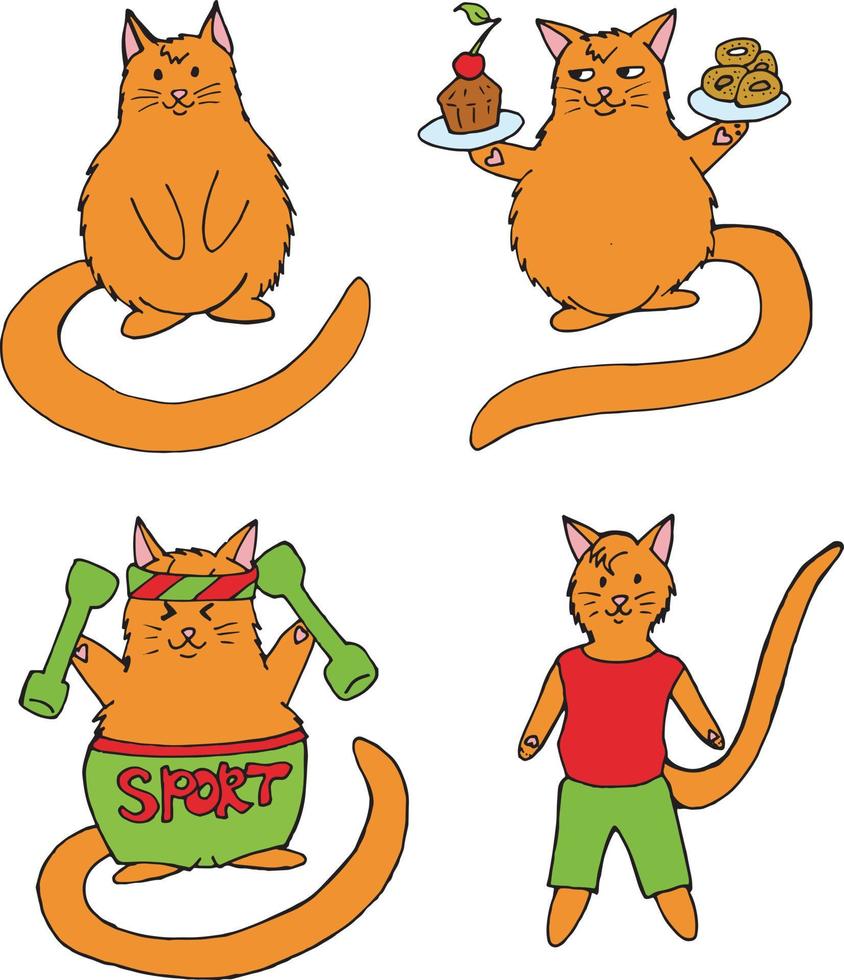 gato deportivo positivo. Estilo de vida saludable y dieta. vector