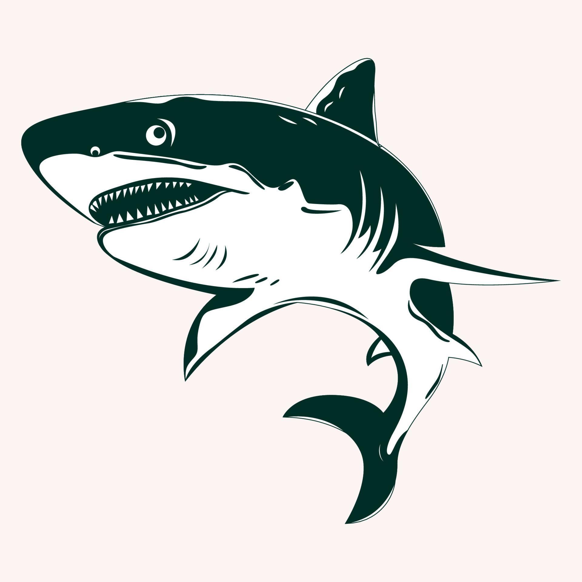 Shark vectors graphics art design templates 7875465 Vector Art at Vecteezy