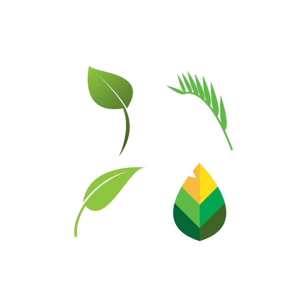 leaf logo vector