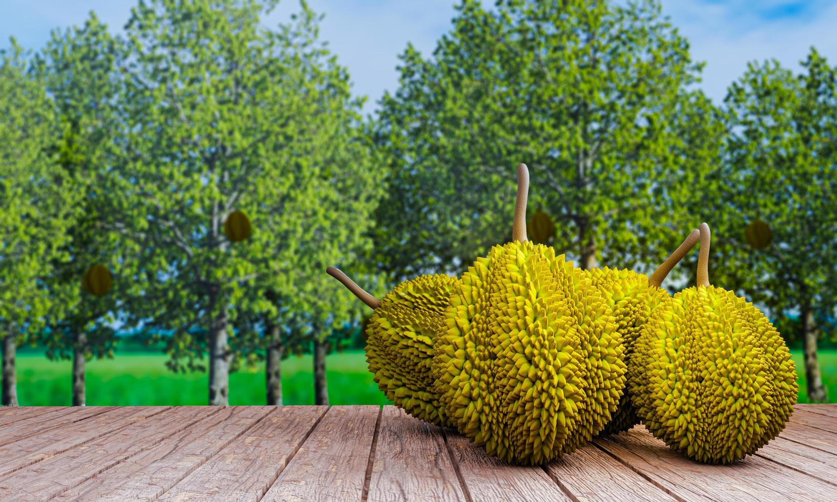 Fresh durian, not peeled Placed on a wooden floor, balcony or trellis in the area of the orchard. There is a durian tree as a blurred background. 3d rendering photo