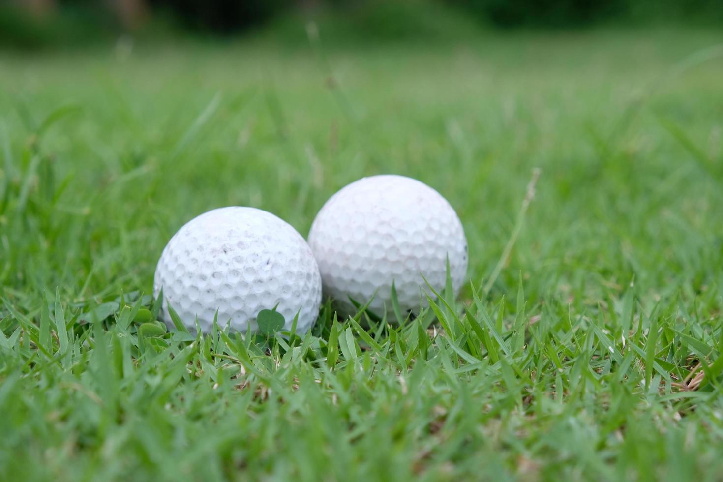 Two golf ball on green grass photo