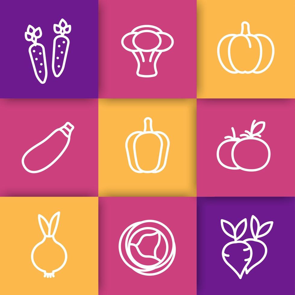 Vegetables line icons, carrot, broccoli, courgette, pumpkin, cabbage, zucchini, tomato, onion, vector illustration