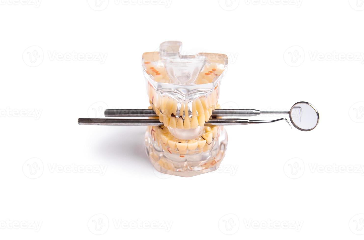 Dentist tools and artificial jaw on bright yellow and violet background. photo