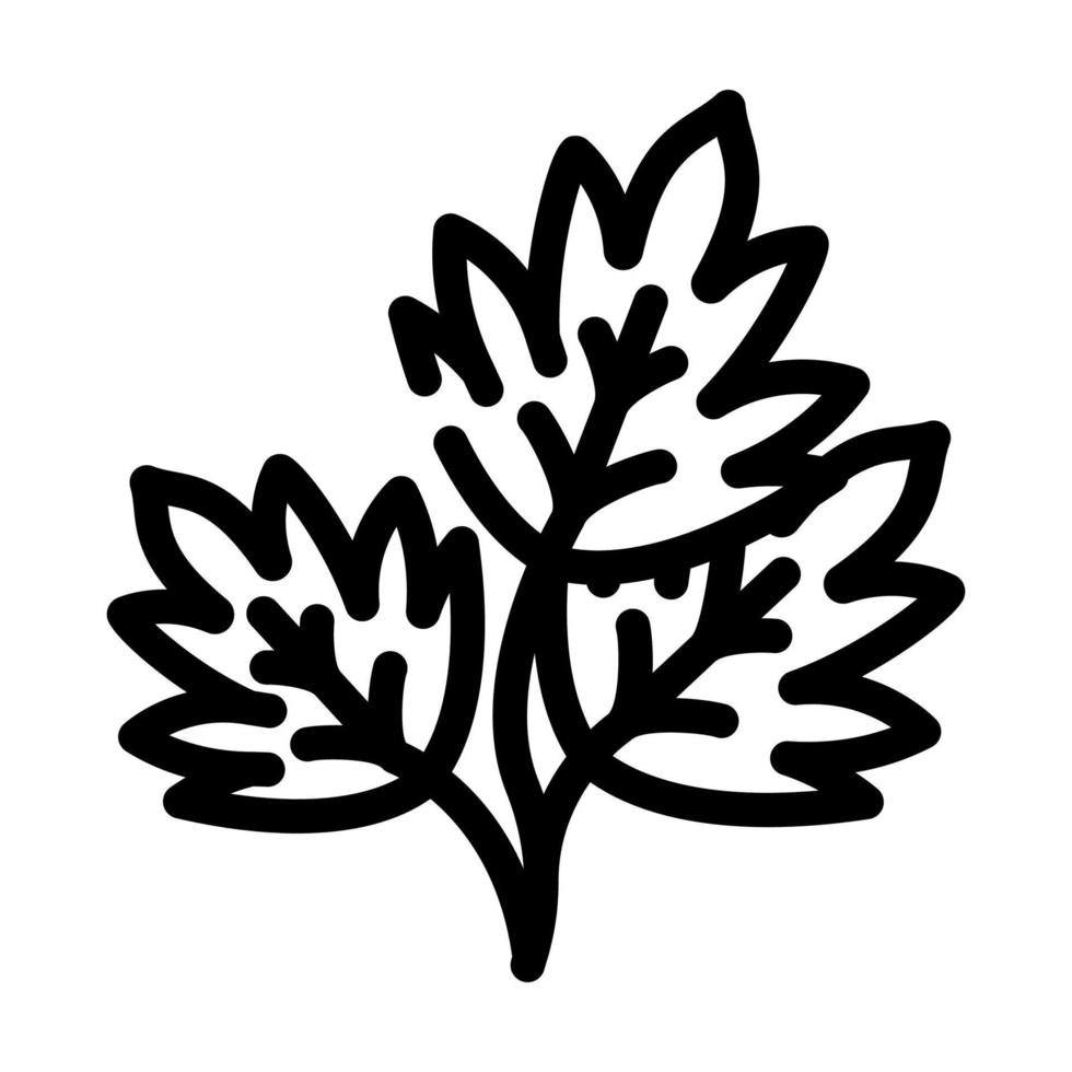 parsley leaves line icon vector illustration