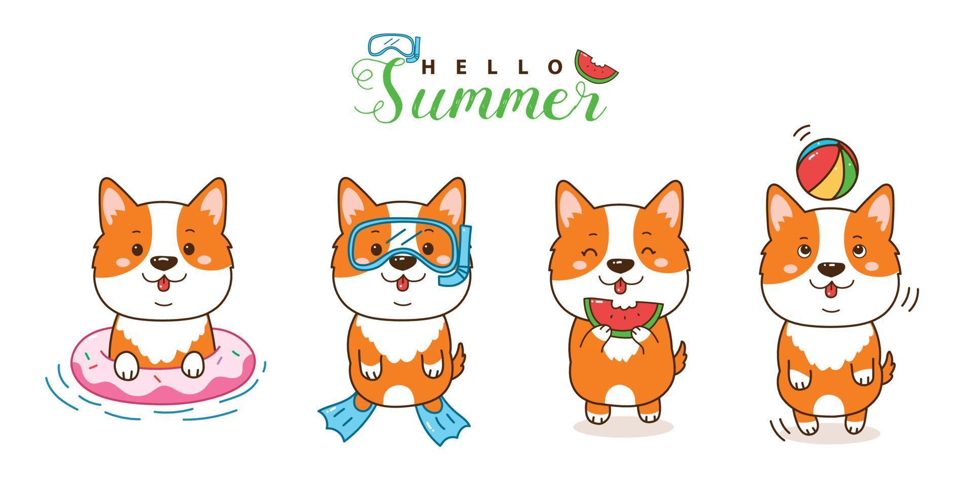 lindo conjunto de verano de dibujos animados de corgi. vector