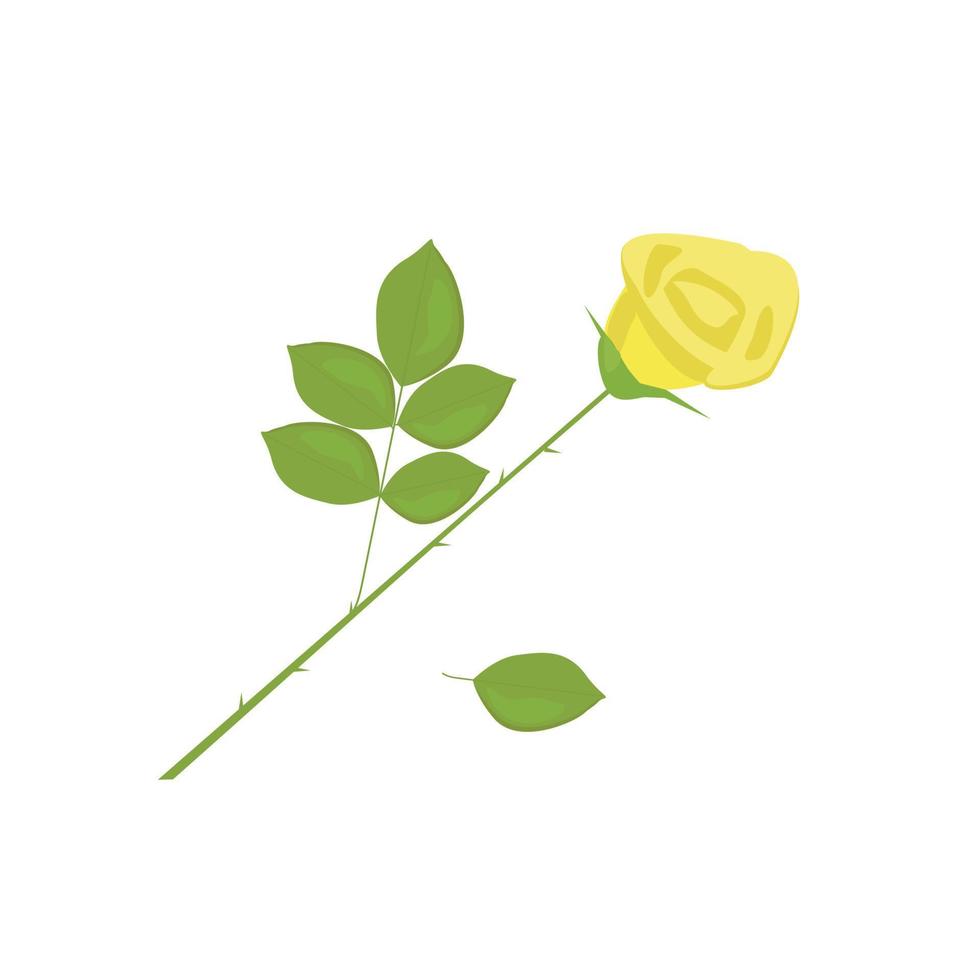 Beautiful yellow rose flower and fallen leaf vector