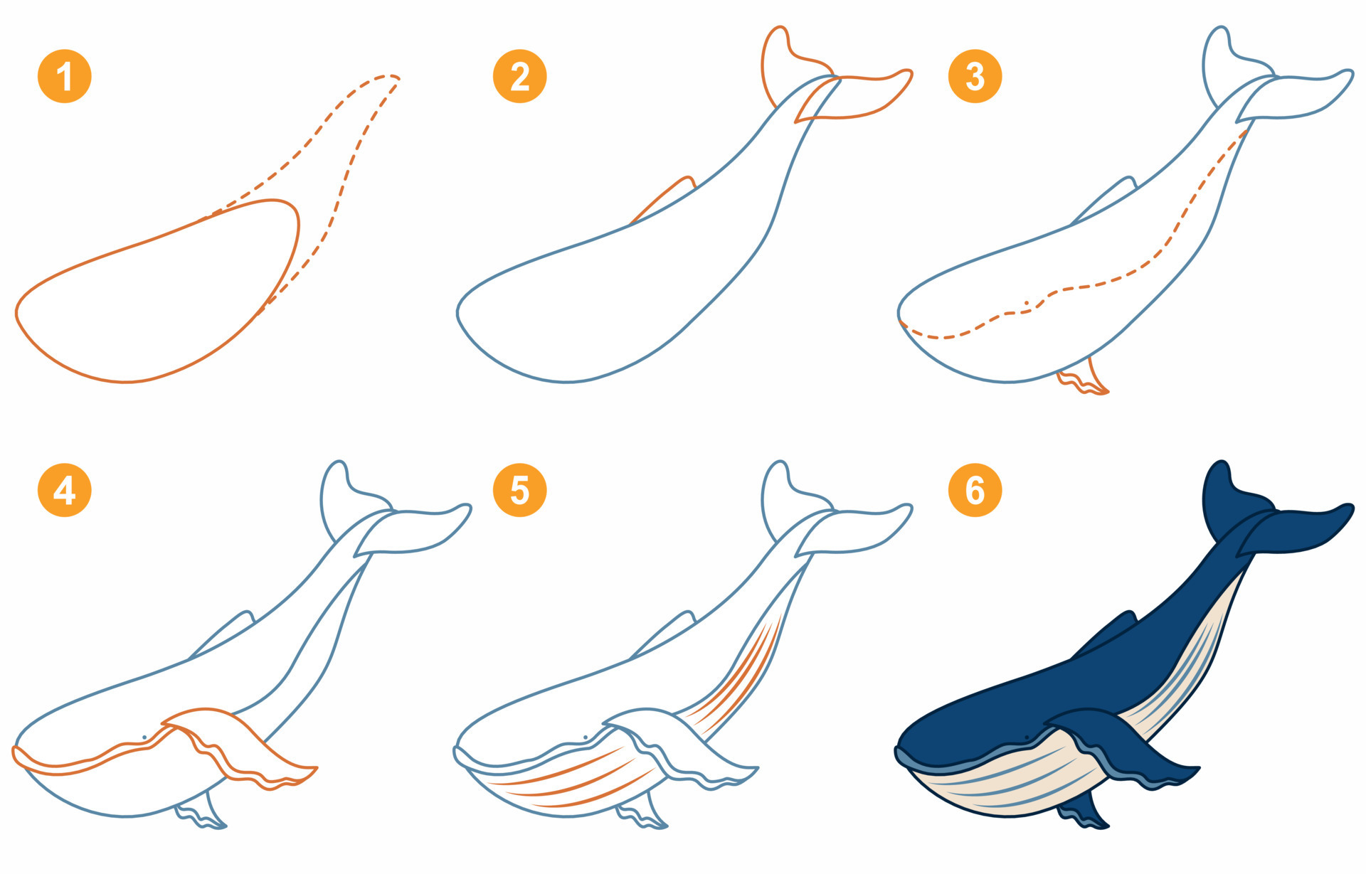 instrucciones para dibujar ballenas. siga paso a paso para dibujar ballenas.  hoja de trabajo para niños aprendiendo a dibujar mamíferos marinos. juego  para la página de vectores infantiles. esquema para dibujar ballenas.