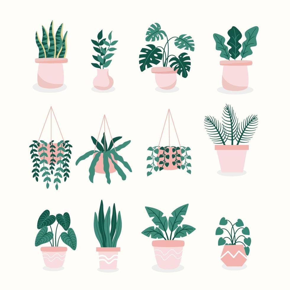 Flat Home Plant Set Collection vector