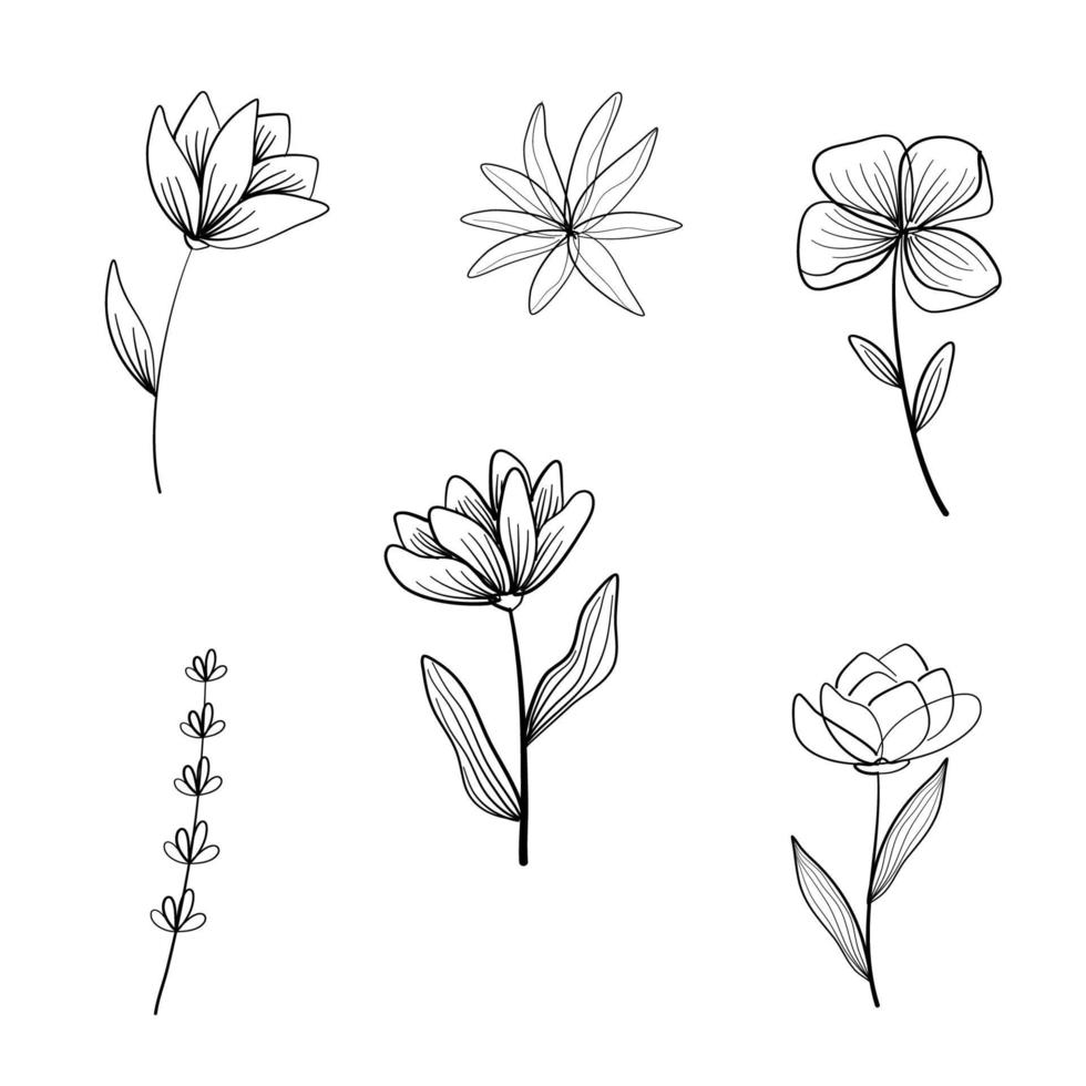 Flower abstract line art set collection vector