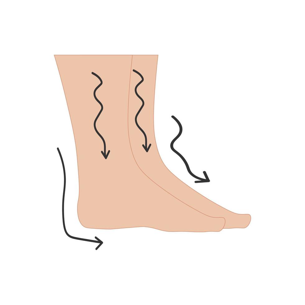 Human feet and leg swelling vector