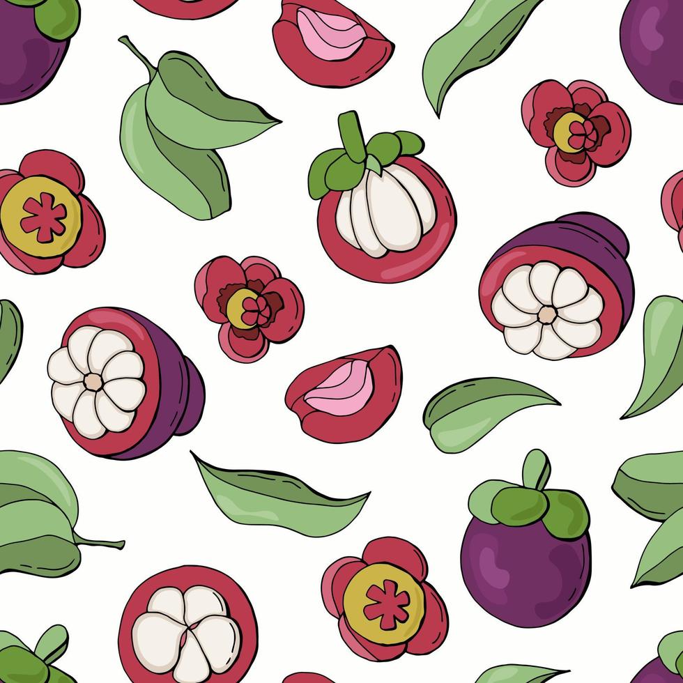 Mangosteen fruit seamless pattern. vector