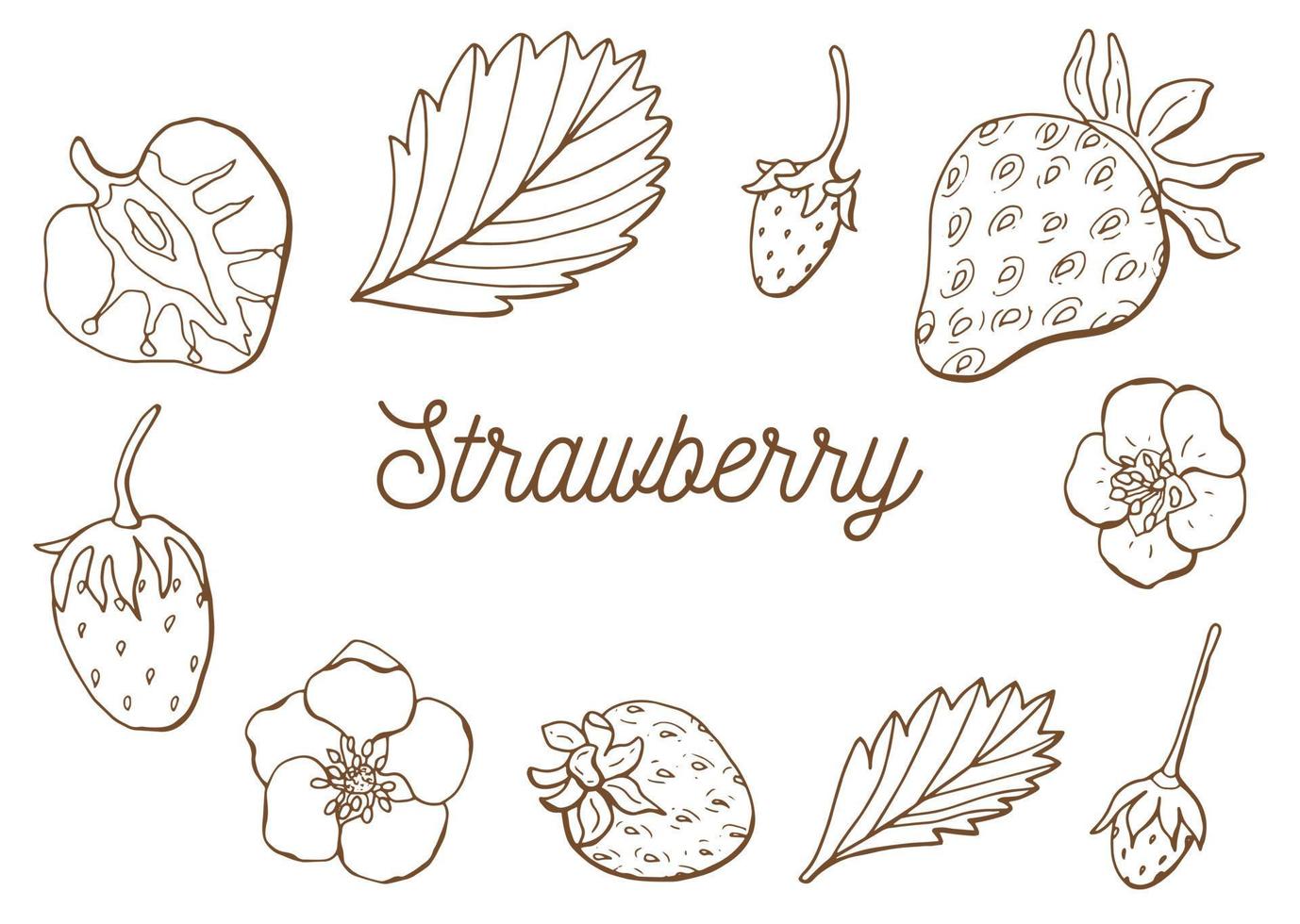 Hand drawn sketch strawberries. Collection of illustrations. Hand drawn food. vector