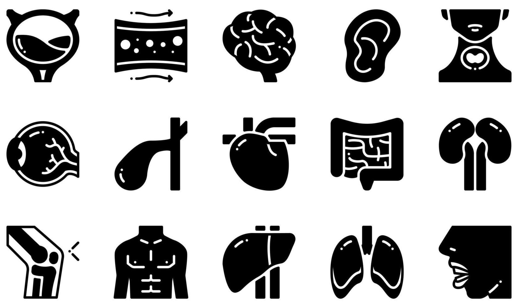 Set of Vector Icons Related to Human Body. Contains such Icons as Bladder, Blood Vessel, Brain, Ear, Eye, Heart and more.