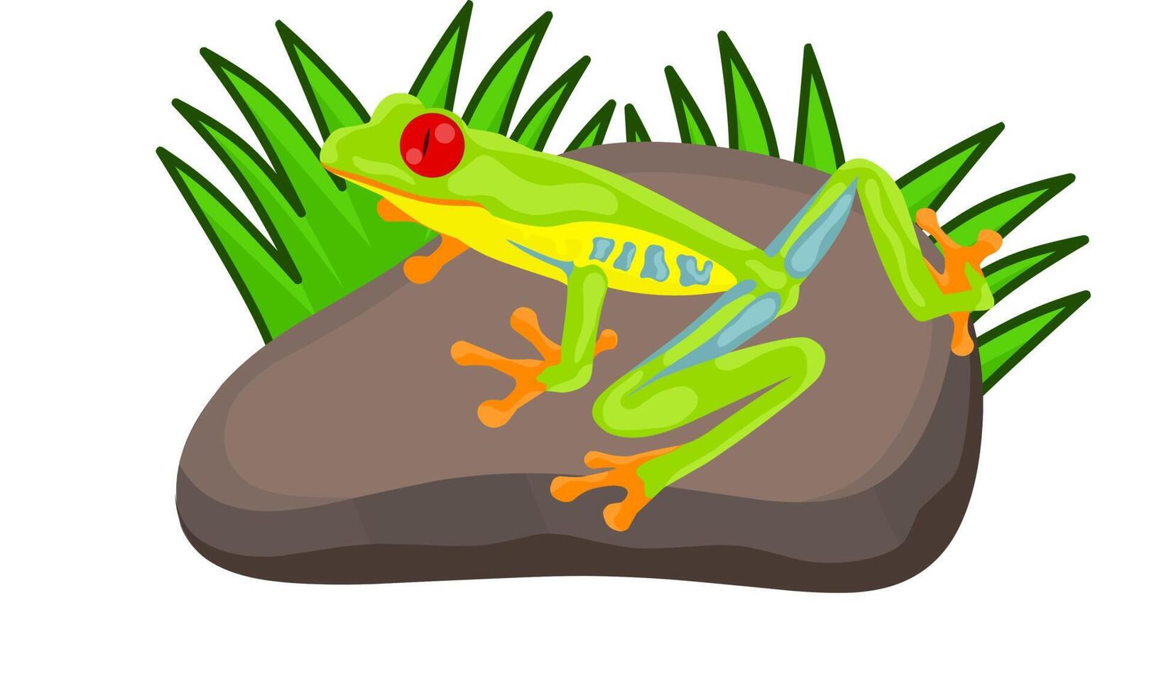 Vector illustration of a colorful and poisonous frog sitting on a rock with bush grass. On a white background. Great for web logos and children's book covers.