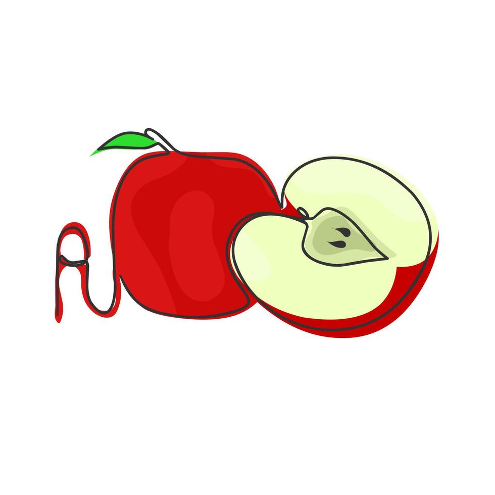 Continuous line drawing of apples, with color art. Minimalist vector linear illustration made of one line