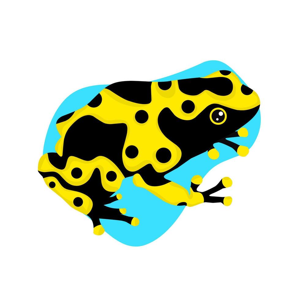 Vector image of poison frog. Black tree frog with yellow stripes. flat design on a white background. Great for children's book covers and learning about frog species.