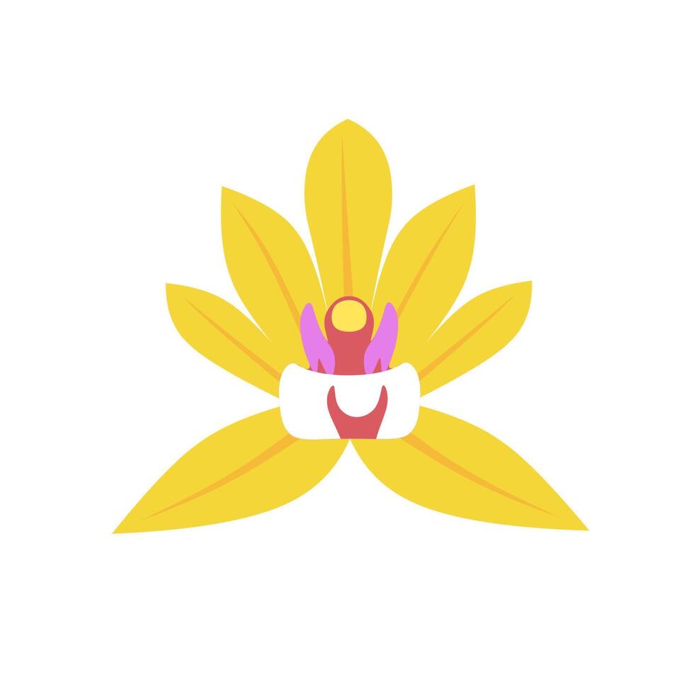 Vector illustration of an orchid flower. Orchids are yellow. Isolated on a white background. Great for home decor and web logos.