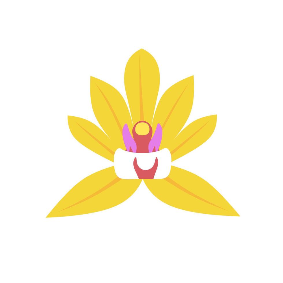 ilustración vectorial de una flor de orquídea. las orquideas son amarillas Aislado en un fondo blanco. ideal para decoración del hogar y logotipos web. vector