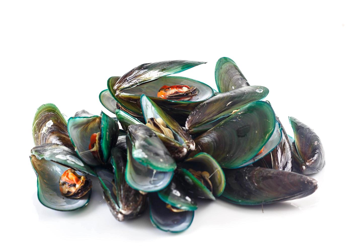 Seafood - mussels photo