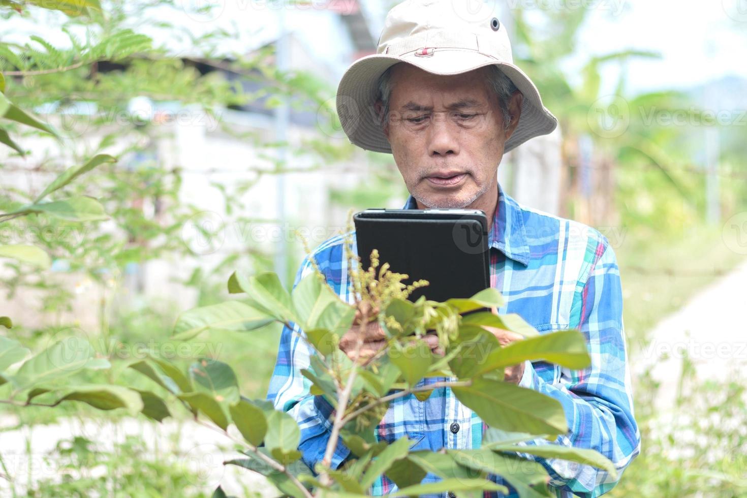 Asian gardener holding a tablet, smart farmer Using smart device technology in agriculture photo