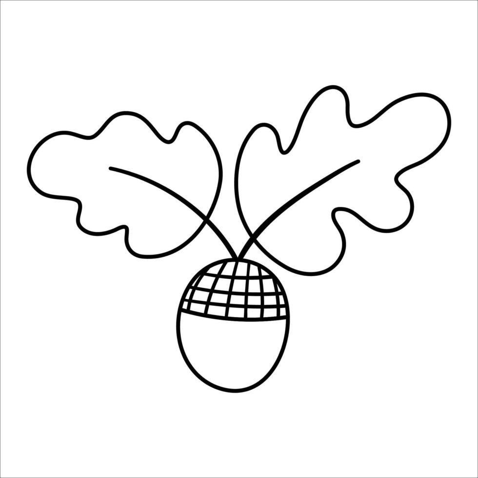 Vector black and white acorn with oak leaves. Outline style autumn woodland icon. Funny fall or forest greenery line illustration isolated on white background