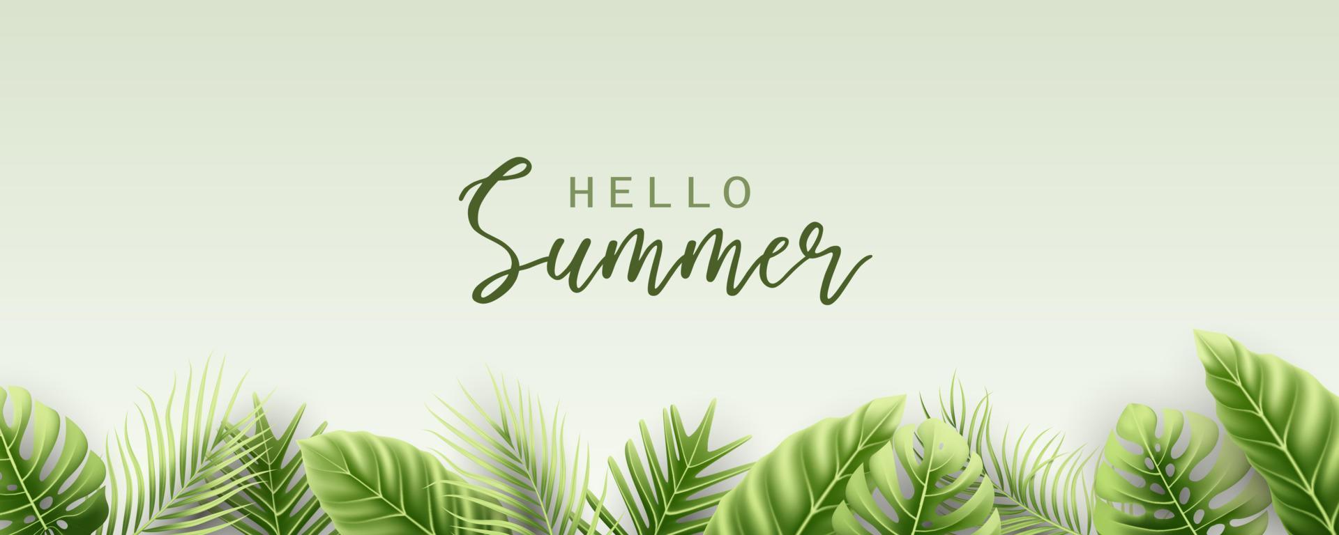 Elegant summer banner with realistic tropical leaves vector