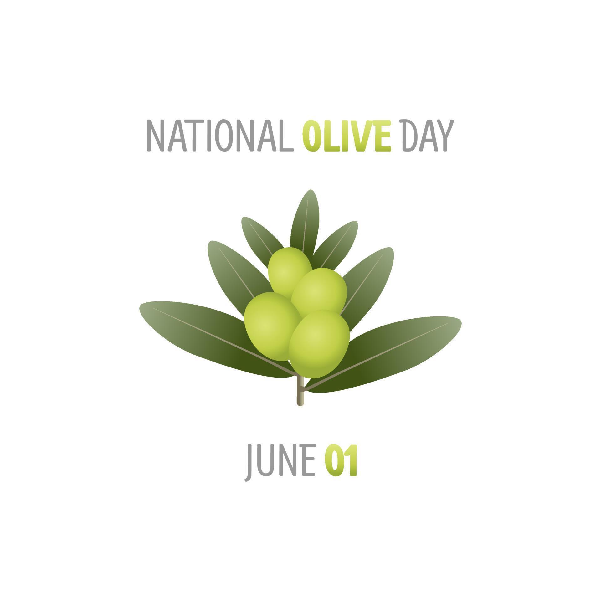 vector graphic of national olive day good for national olive day