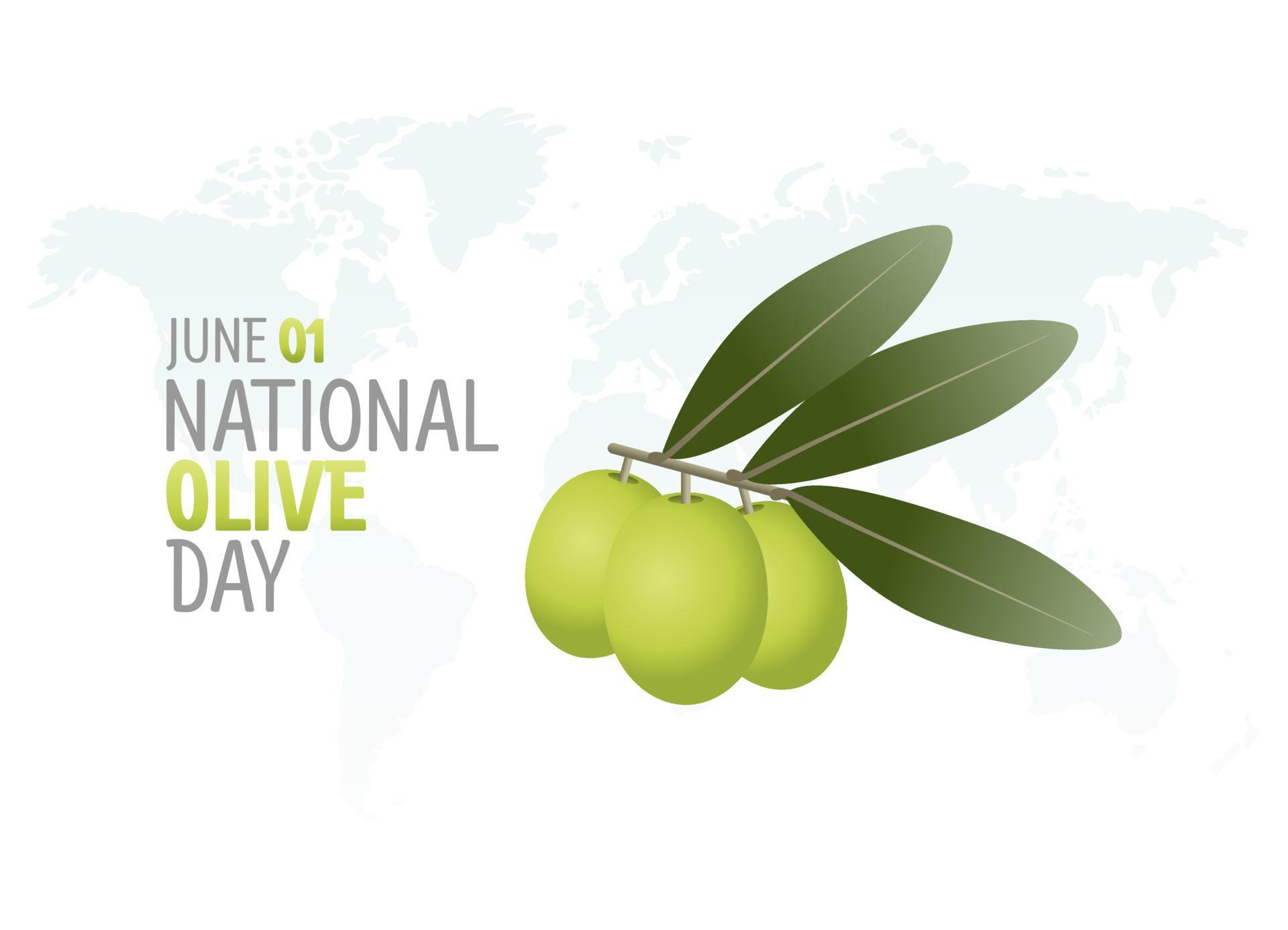 vector graphic of national olive day good for national olive day