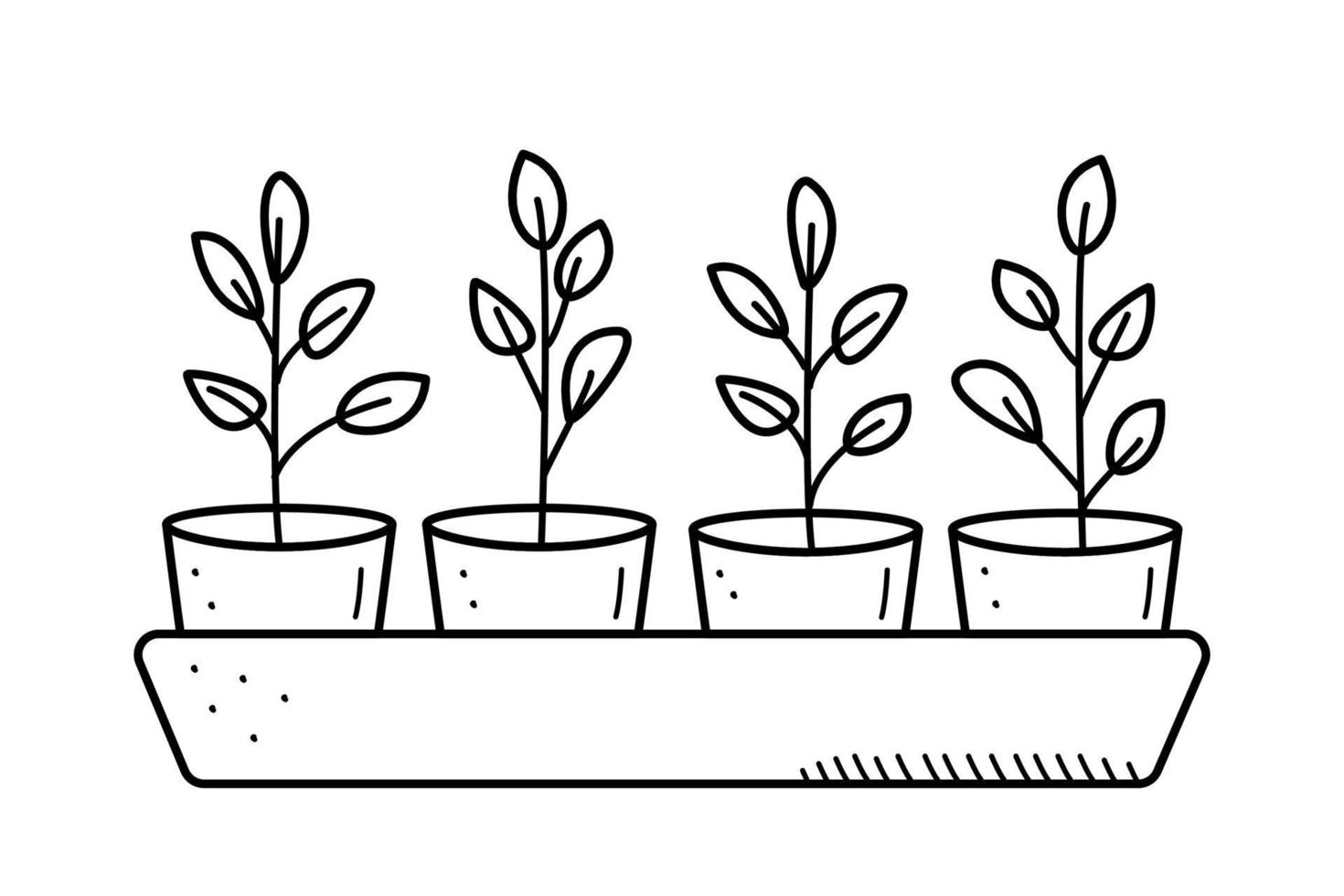 Seedlings in pots, vector illustration of gardening flower nursery doodle style.