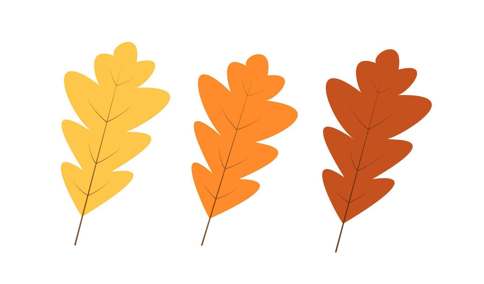 Autumn yellow and brown oak leaves isolated on white, vector illustration of autumn leaf fall