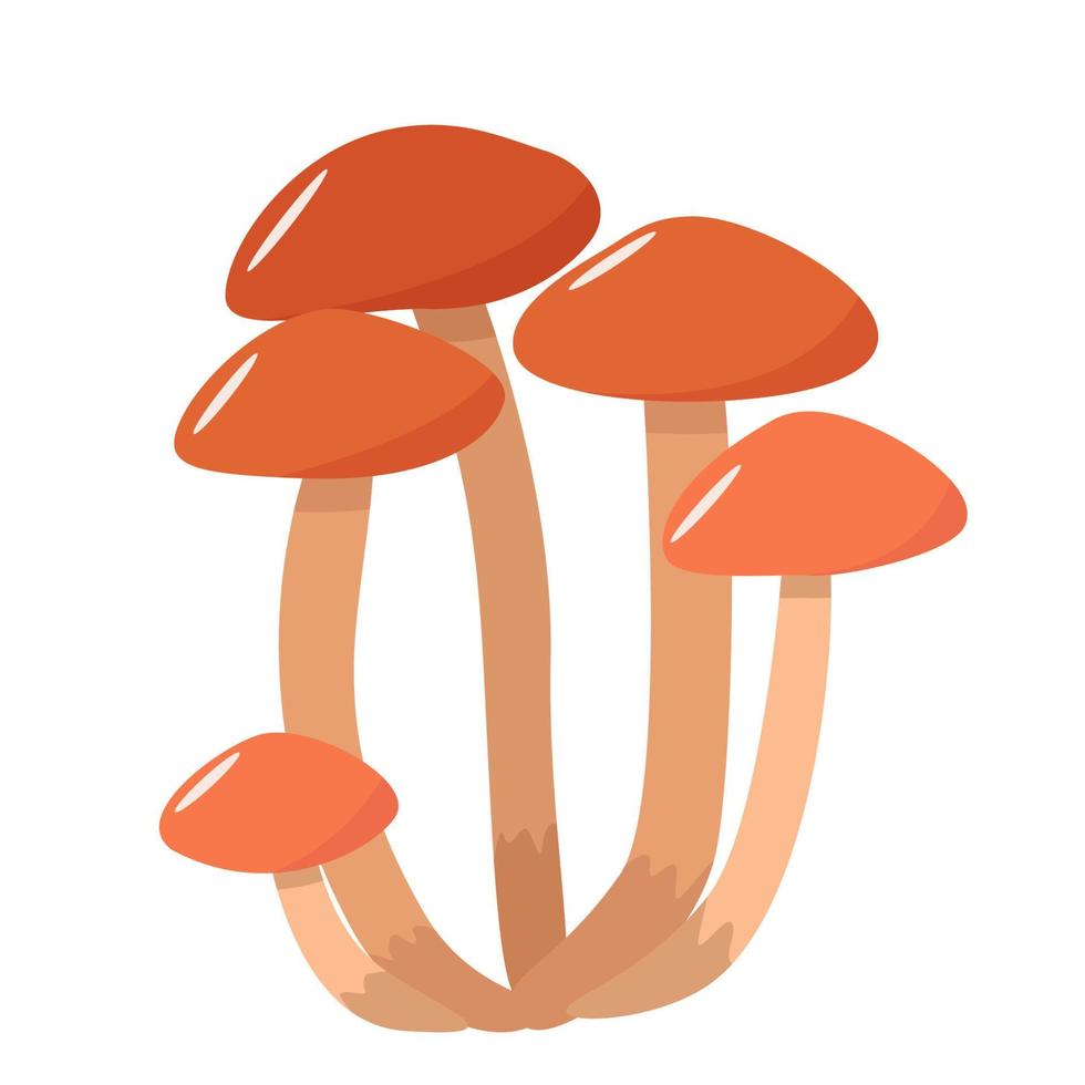 colored mushrooms of autumn honey agaric icons vector. Illustration isolated on white vector