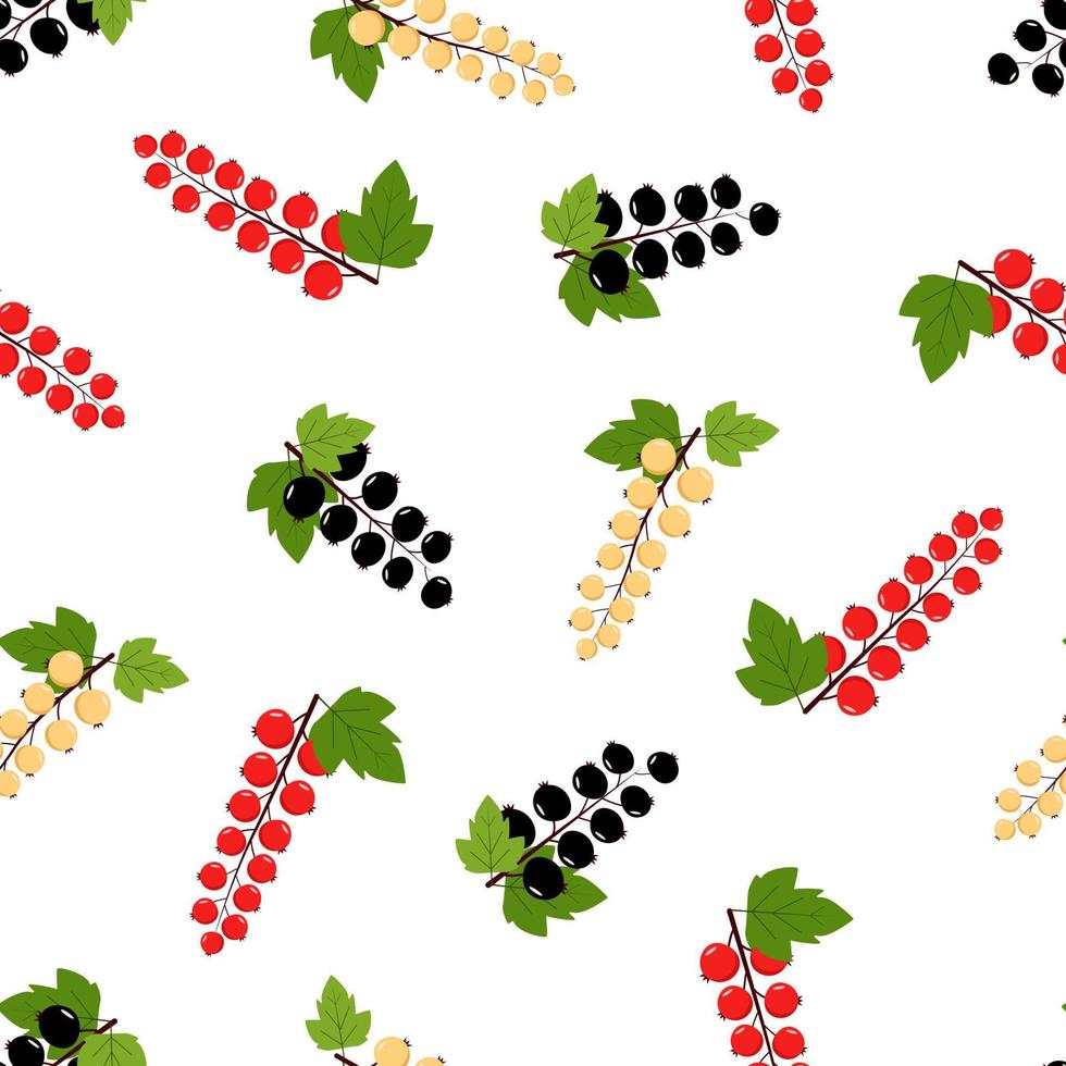 Seamless Pattern of different currants, black red and white. Vector illustration of cartoon berries