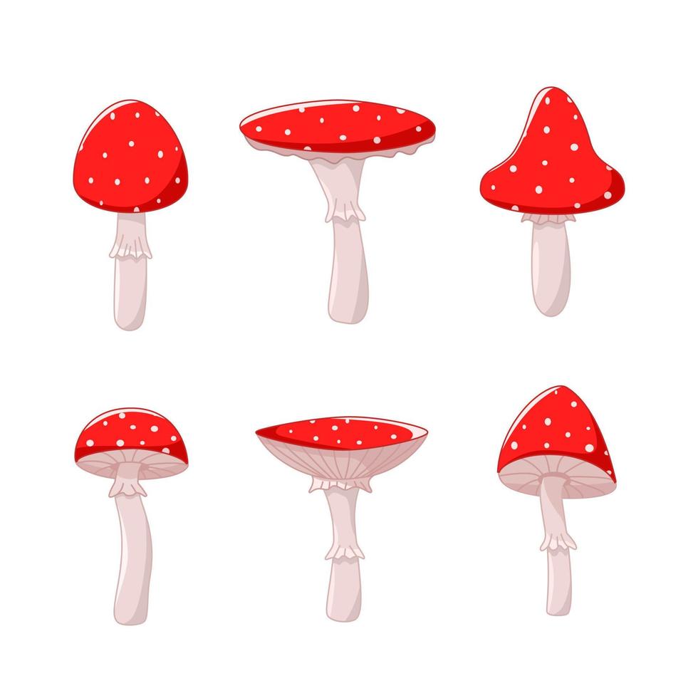 A set of poisonous fly agaric mushrooms, a vector illustration of forest inedible mushrooms