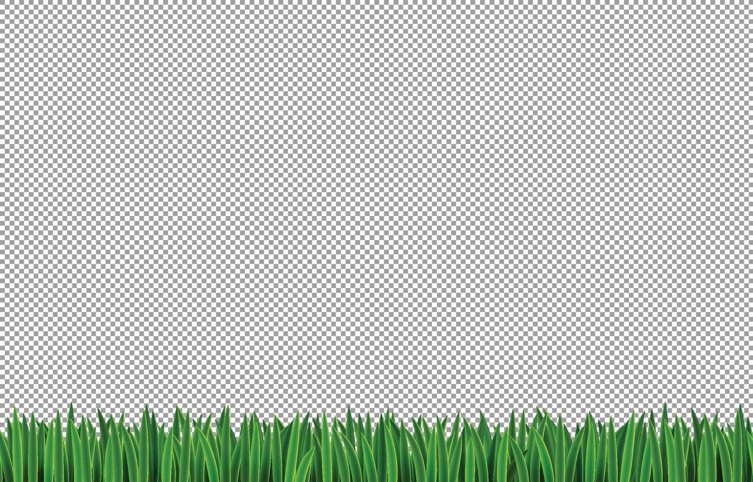 Realistic Grass Element vector