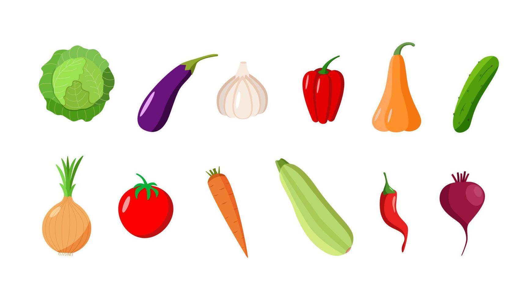 A set of different vegetables. Vector illustration of seasonal autumn harvest