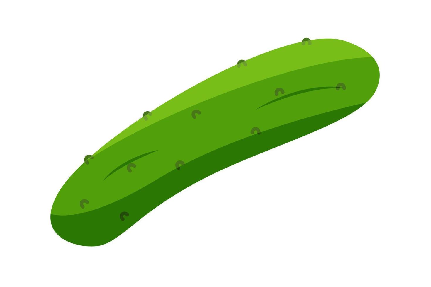 Fresh green cucumber, vector illustration of a vegetable on a white background. Flat style