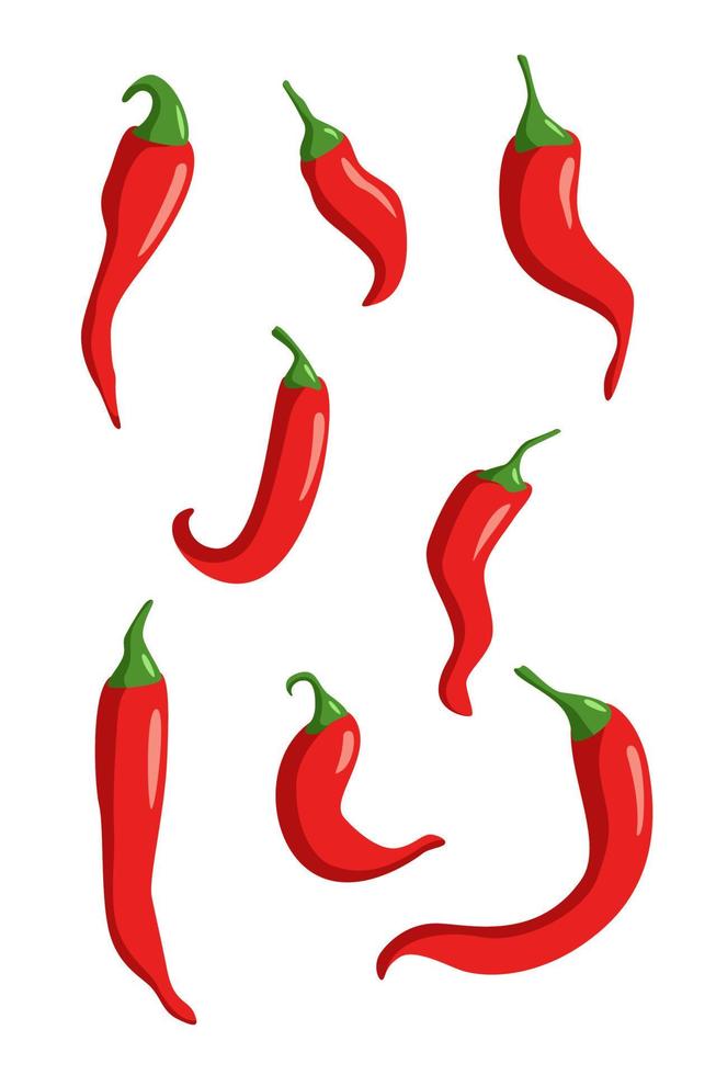 Set of red chili peppers on white. Vector illustration of isolate