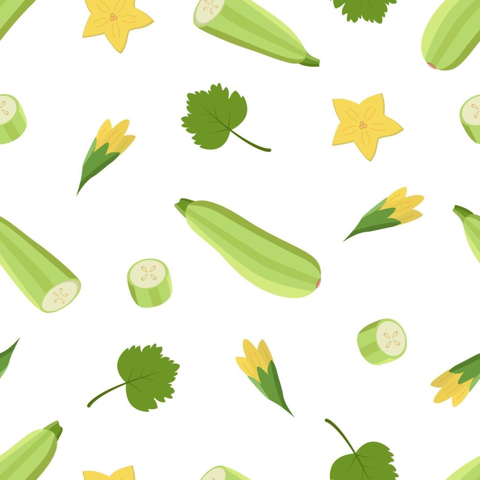 Seamless Pattern Zucchini whole and cut, zucchini flowers and leaf. Vector illustration of vegetables, a set of harvest courgette