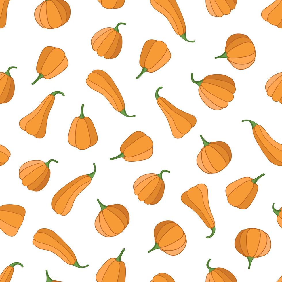 Seamless pattern of different shapes of pumpkins, background from the autumn harvest of pumpkins vector