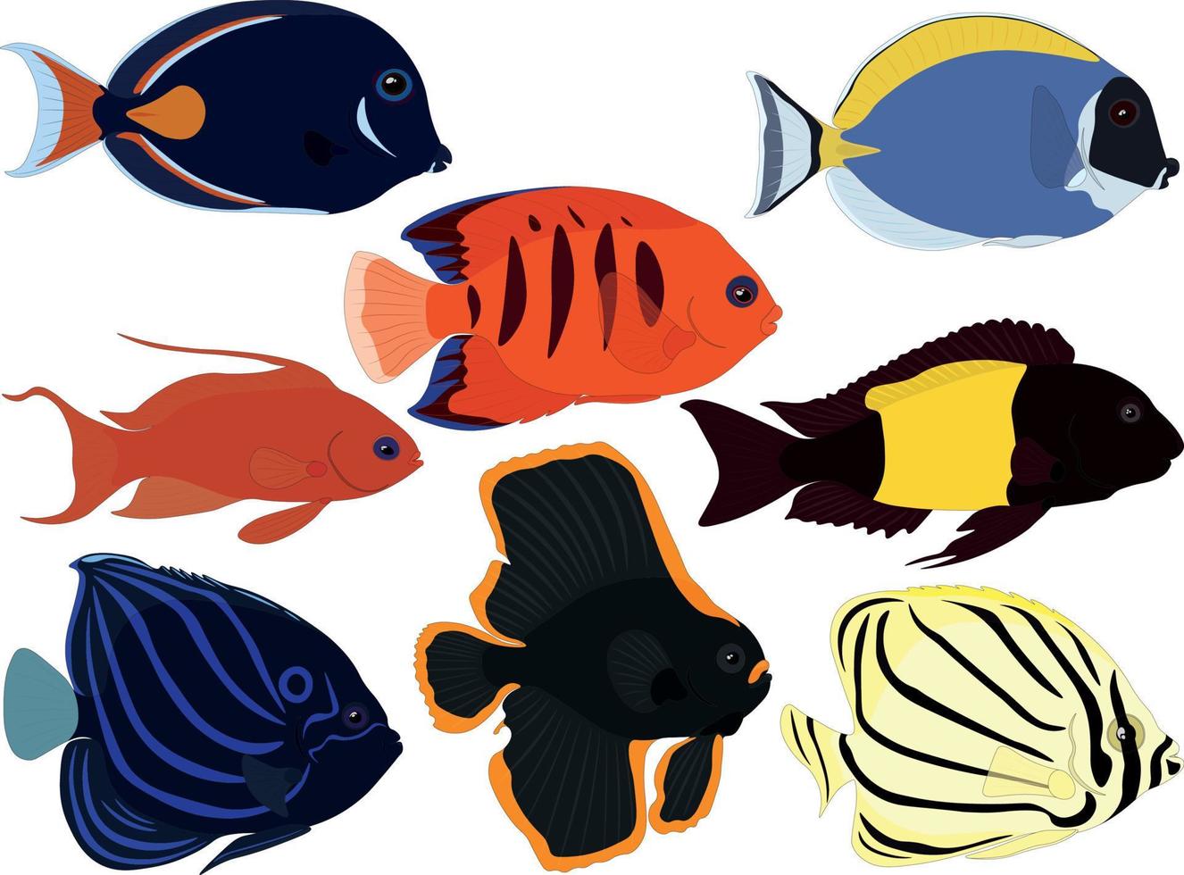 Ilustración de vector de colección de peces de acuario tropical exótico