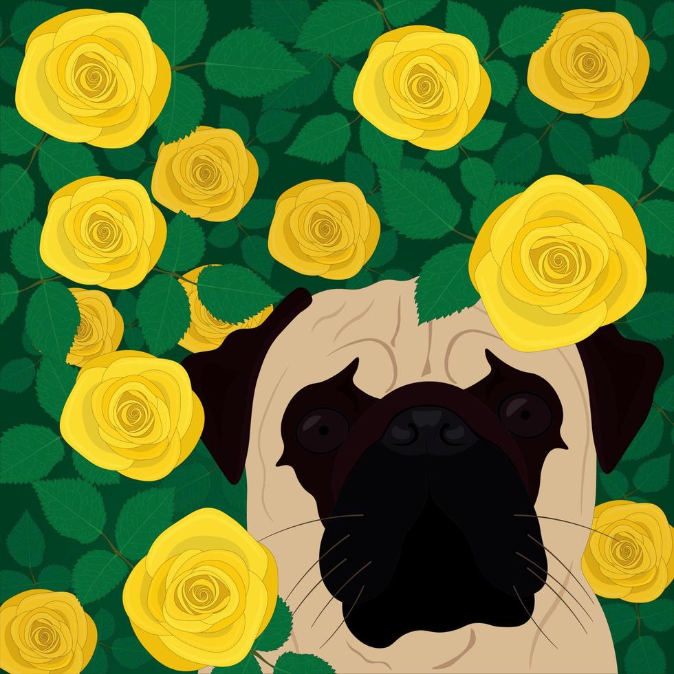 Pug among yellow roses bush vector illustration