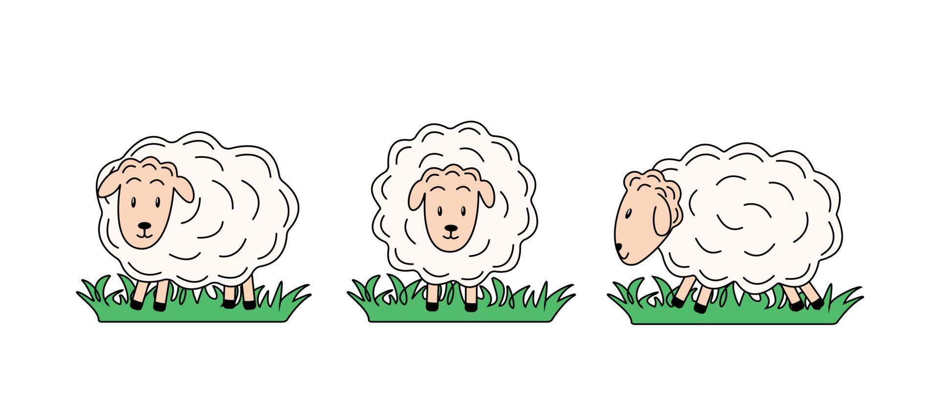 Set of sheep in different poses. Vector illustration of farm animals. Cartoon sheeps in a flat style