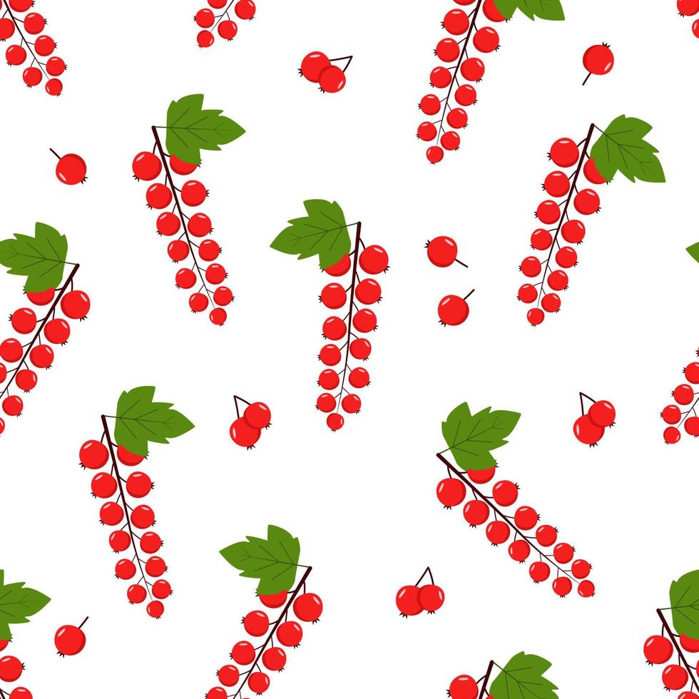 Seamless pattern of red currants, vector illustration of a bunch of berries