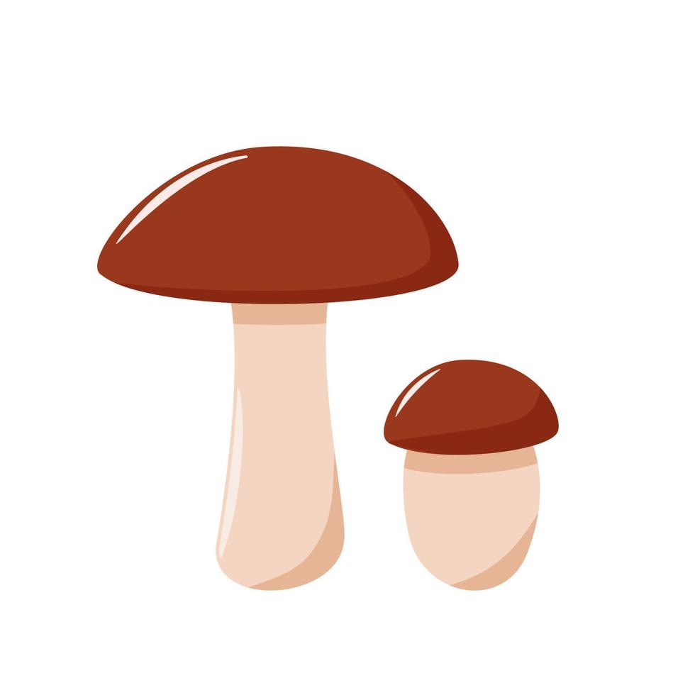 Two colored mushrooms of autumn boletus icons vector. Illustration isolated on white vector